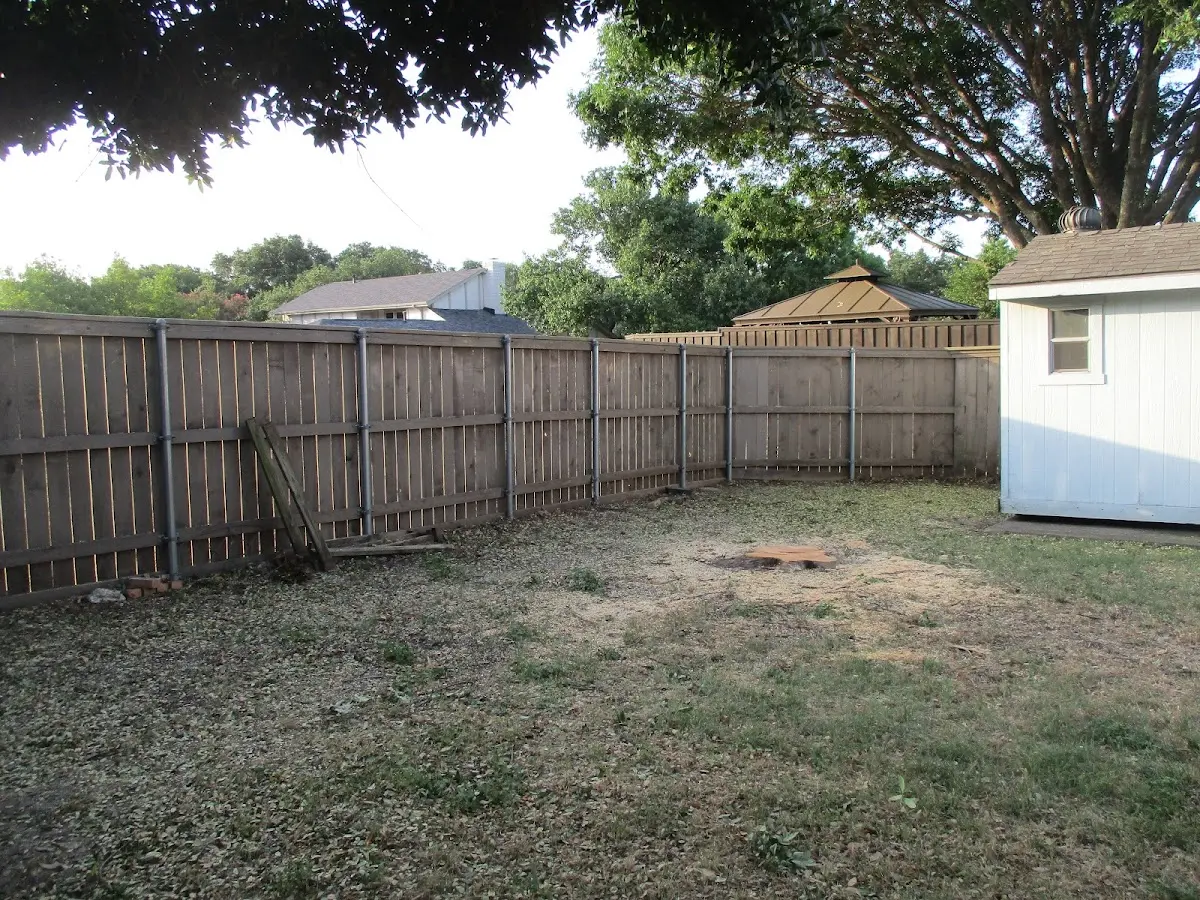 Cleared yard after professional tree removal in Platte Center