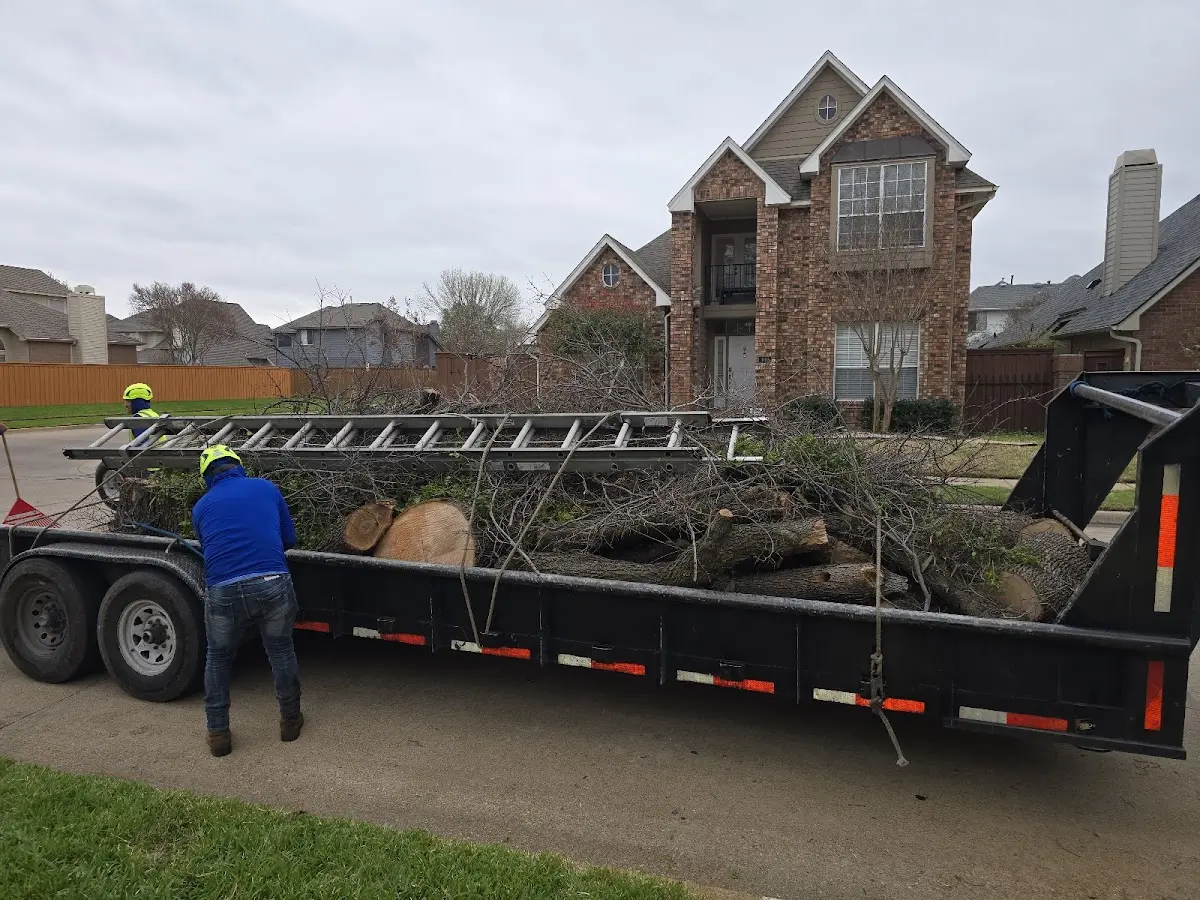 Expert Tree Removal with proper safety equipment in Platte Center